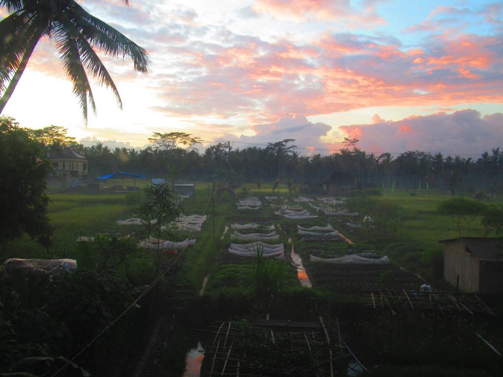 Hars Garden Tree Houses Hotel Ubud Exterior foto